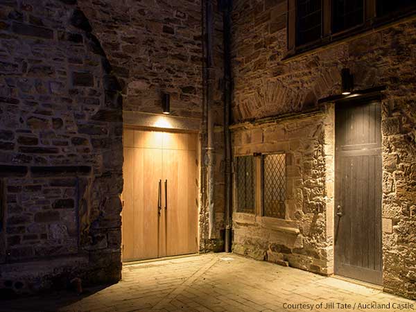 ufo lighting - outdoor lighting systems